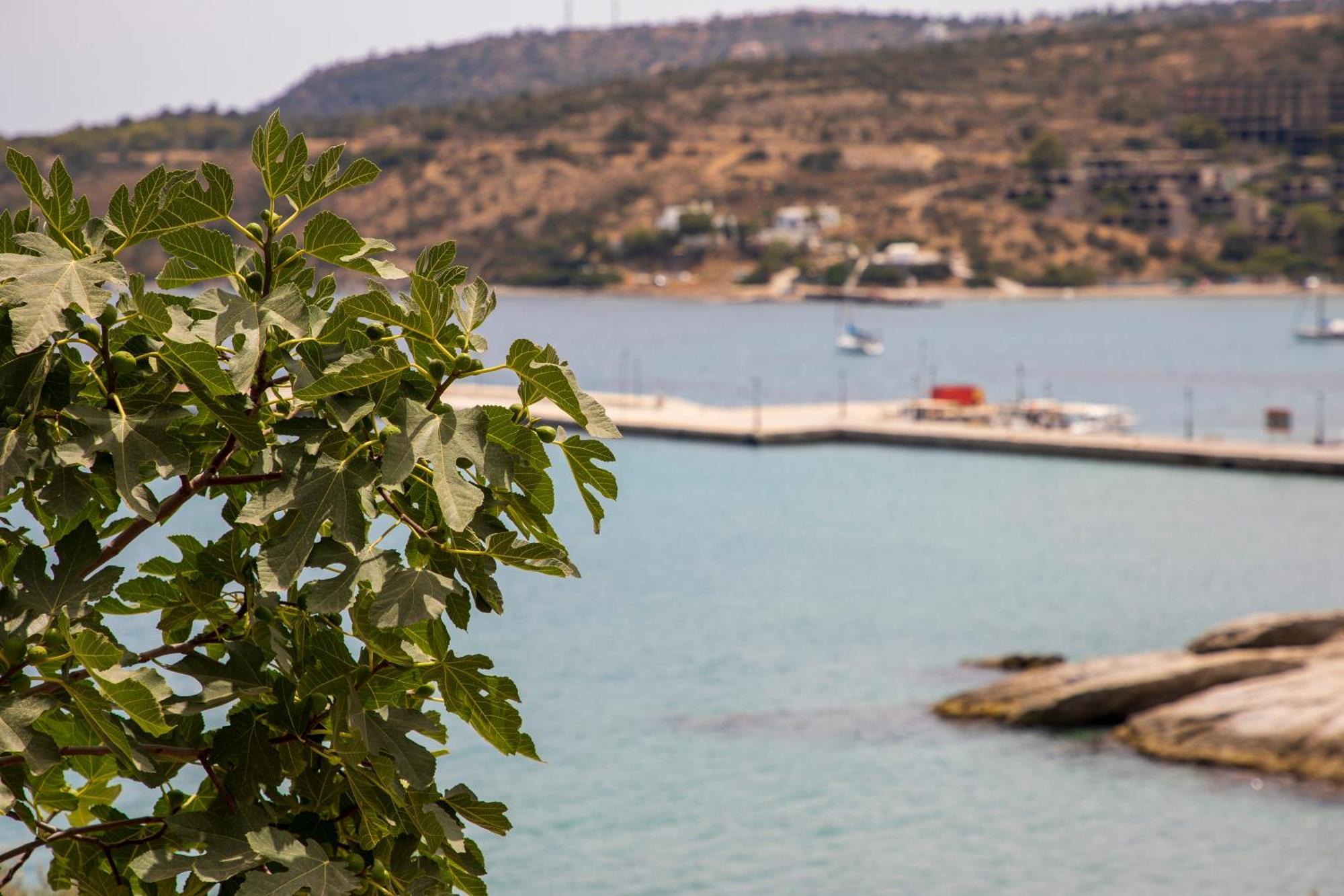Agia Marina  Sea La Vie 빌라 외부 사진